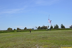 Venice kite festival_0071